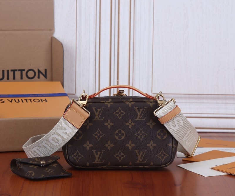 LV Satchel bags